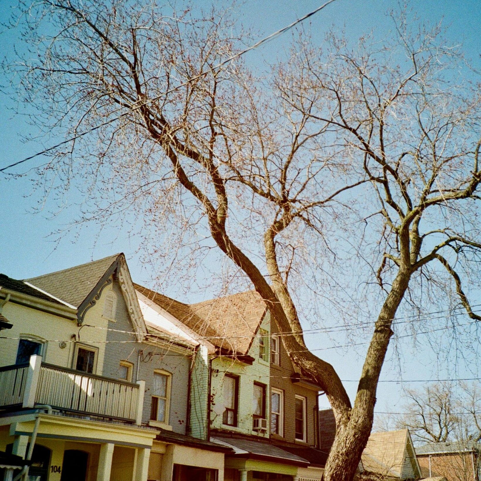 A leafless tree with twisting branches stands before two old, two-story houses under a clear blue sky, their porches and pale exteriors subtly hinting at the history of civic responsibilities in the neighborhood.